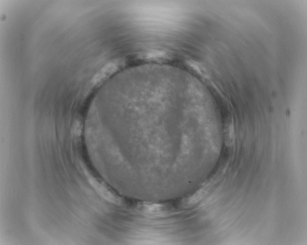 X0000088230472200706051352