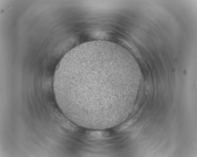 X0000088230473200706051352