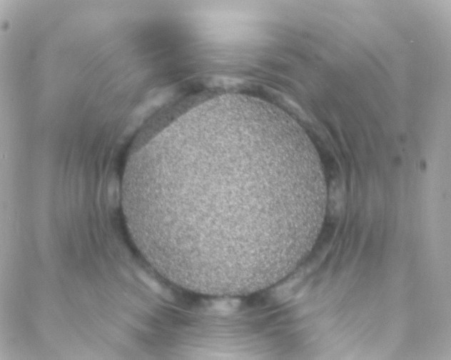 X0000088230474200706051352