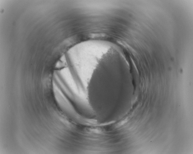 X0000088230475200706051352