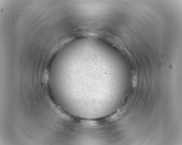 X0000088230476200706051352