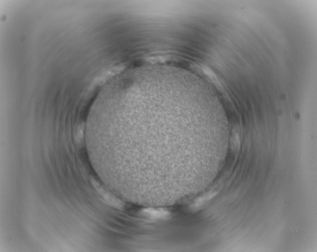 X0000088230477200706051352