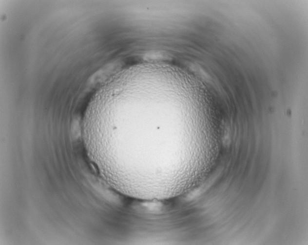 X0000088230478200706051352