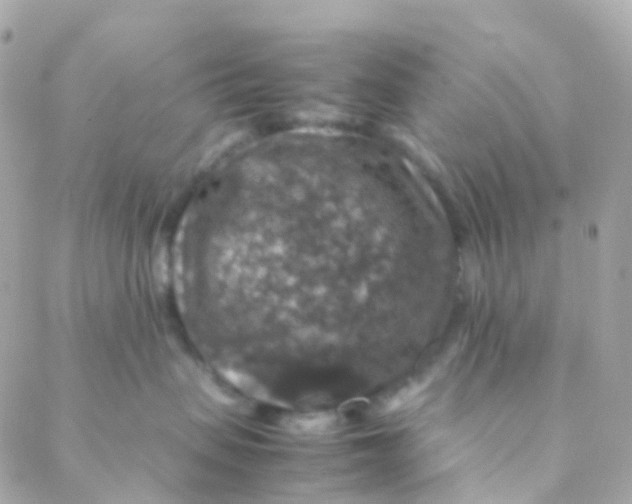 X0000088230479200706051352