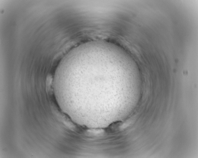 X0000088230480200706051352