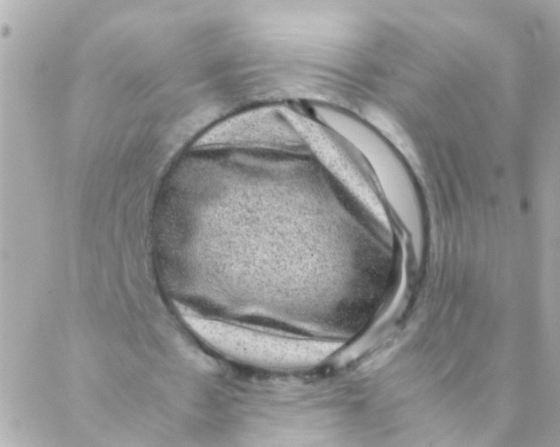 X0000088230481200706051352