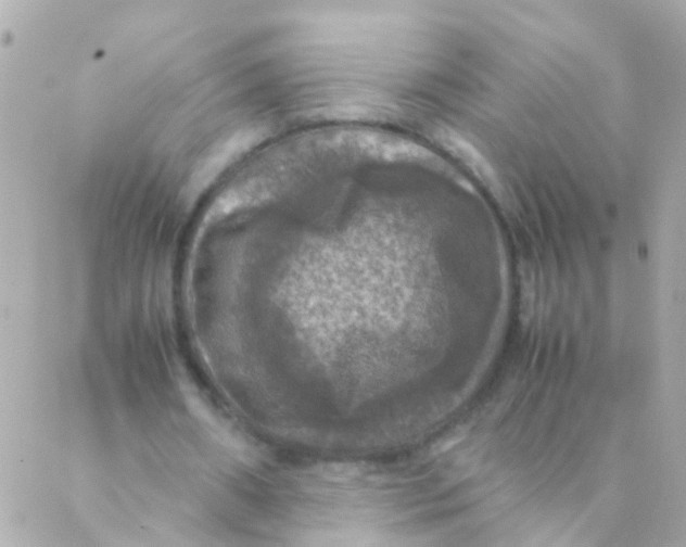 X0000088230482200706051352