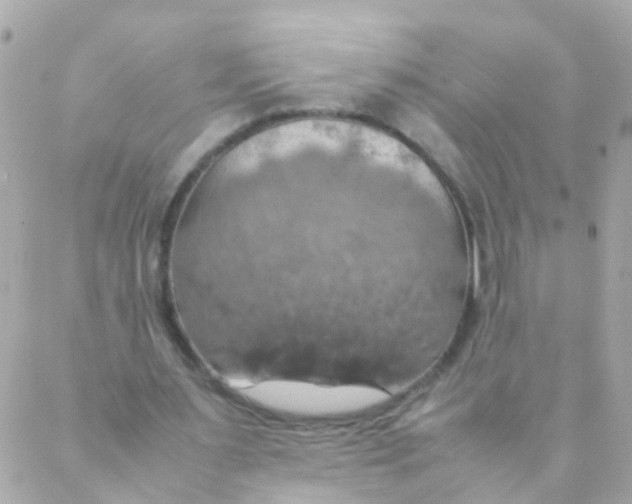 X0000088230483200706051352