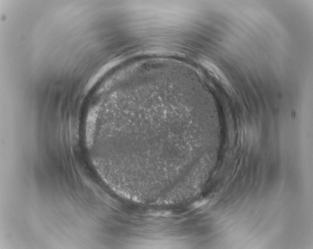 X0000088230484200706051351