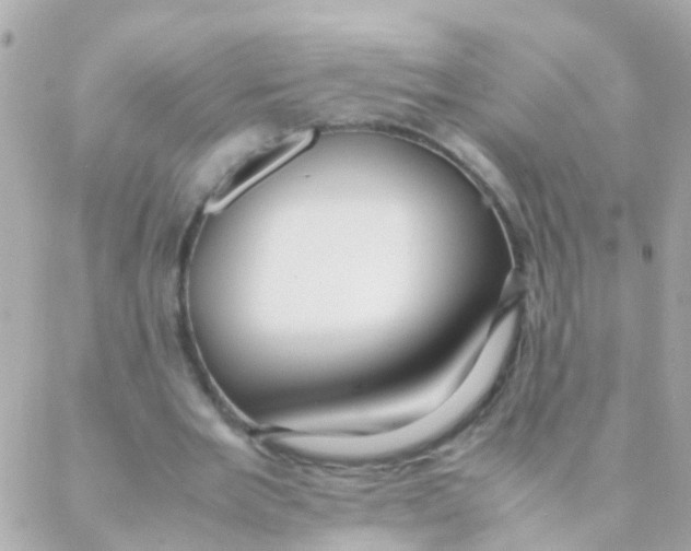 X0000088230485200706051351