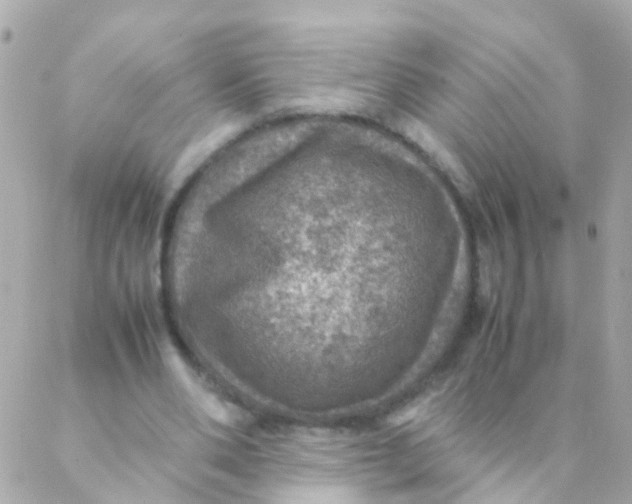 X0000088230486200706051351