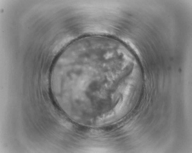 X0000088230487200706051351