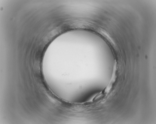 X0000088230489200706051351