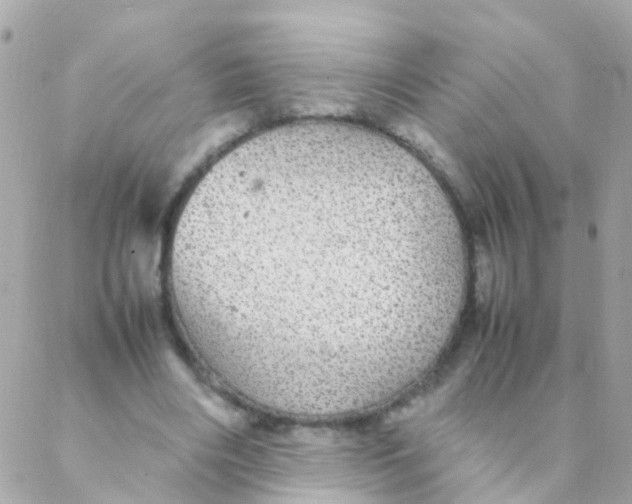 X0000088230490200706051351