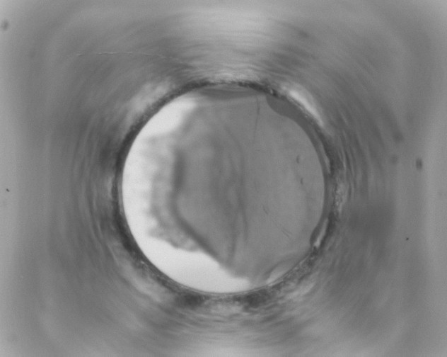 X0000088230491200706051351