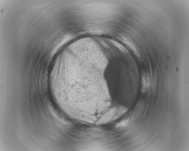 X0000088230492200706051351