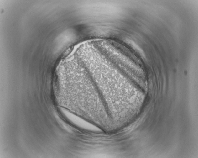 X0000088230493200706051351