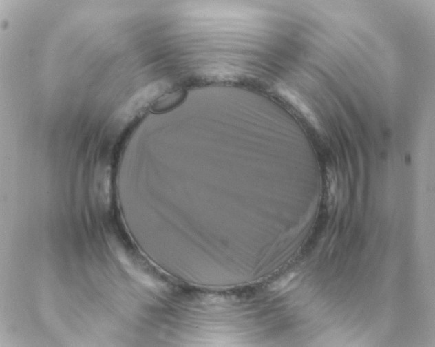 X0000088230494200706051351