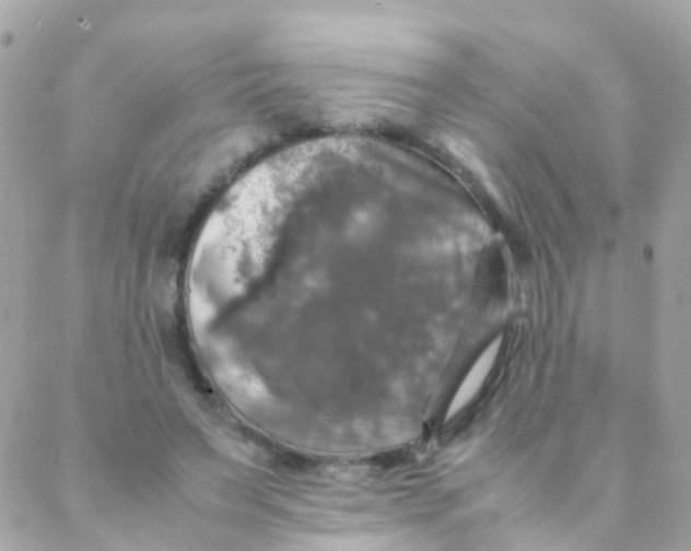 X0000088230495200706051351