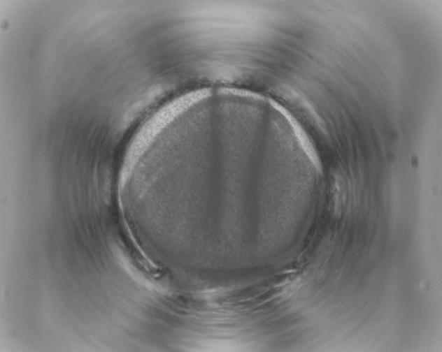 X0000088230496200706051351