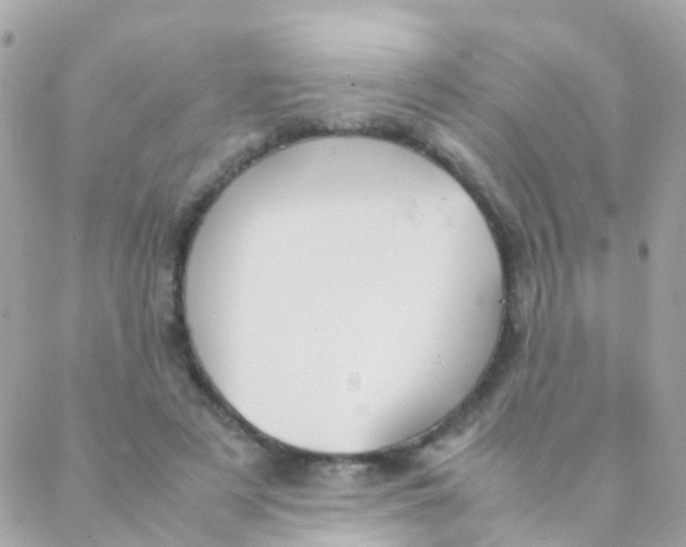 X0000088230497200706051351