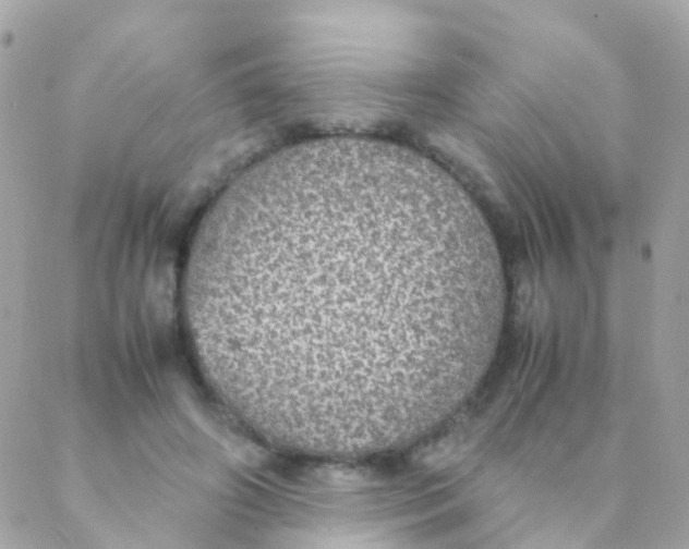 X0000088230498200706051351