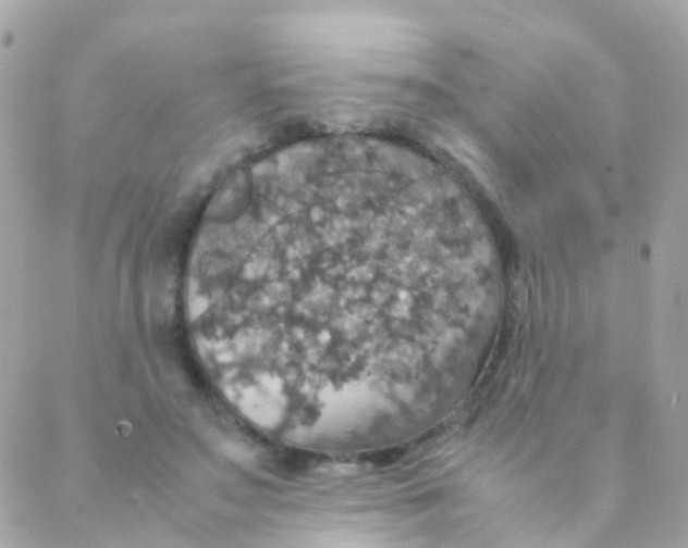 X0000088230499200706051351