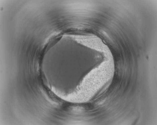 X0000088230500200706051351