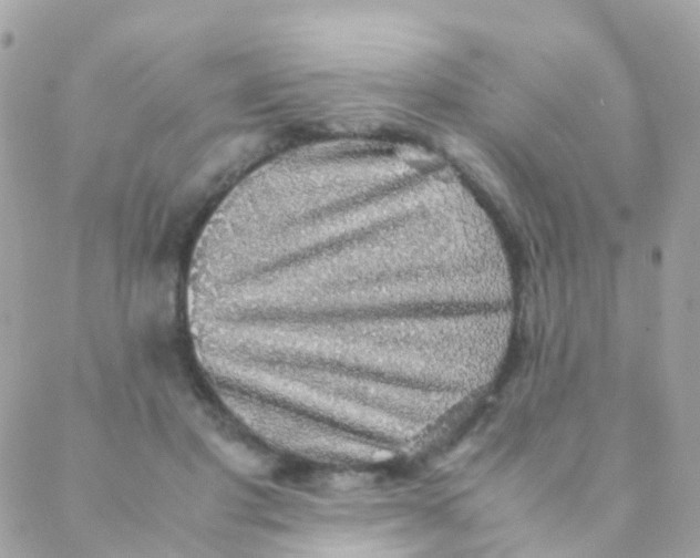 X0000088230501200706051351