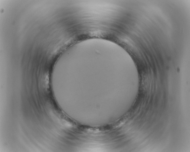 X0000088230502200706051351