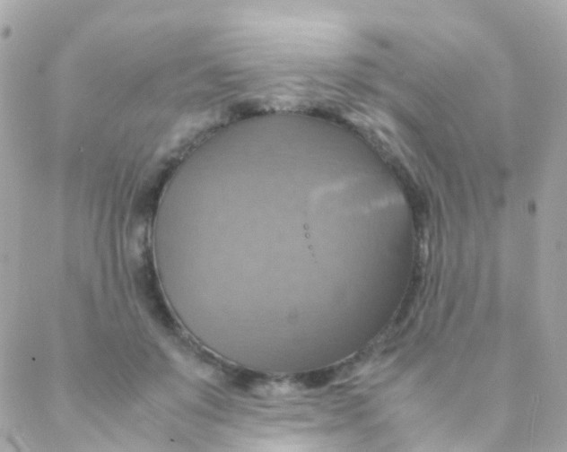 X0000088230503200706051351