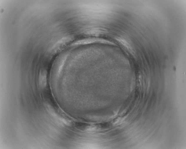 X0000088230504200706051351