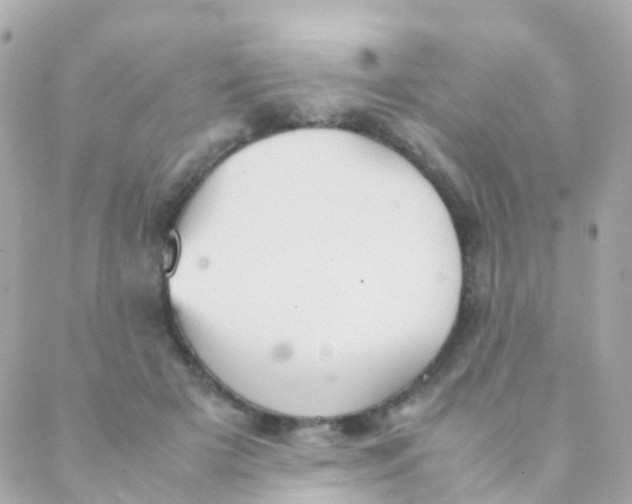 X0000088230505200706051351