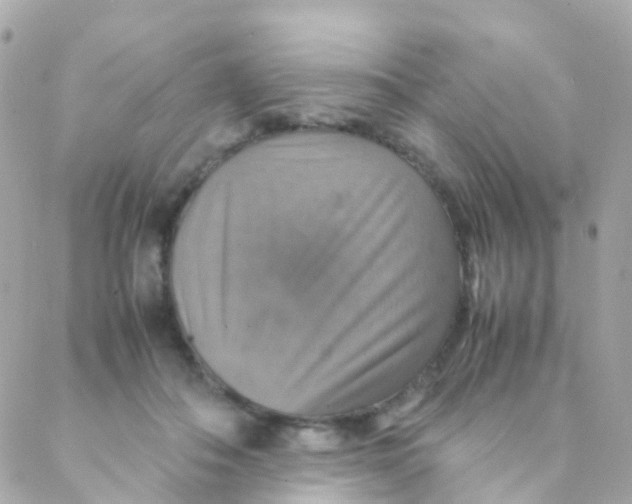 X0000088230506200706051351