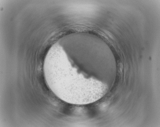 X0000088230507200706051351