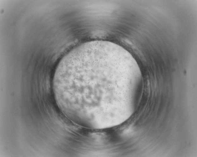 X0000088230508200706051351