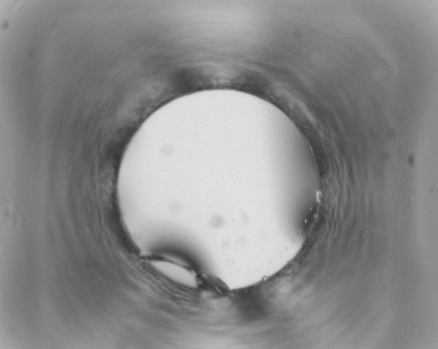 X0000088230509200706051351