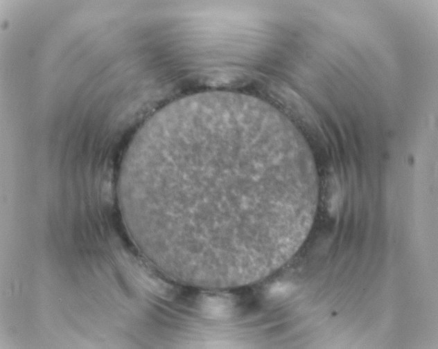 X0000088230510200706051351