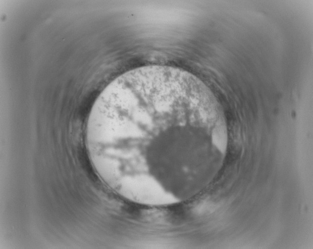 X0000088230511200706051351