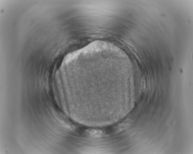 X0000088230512200706051351