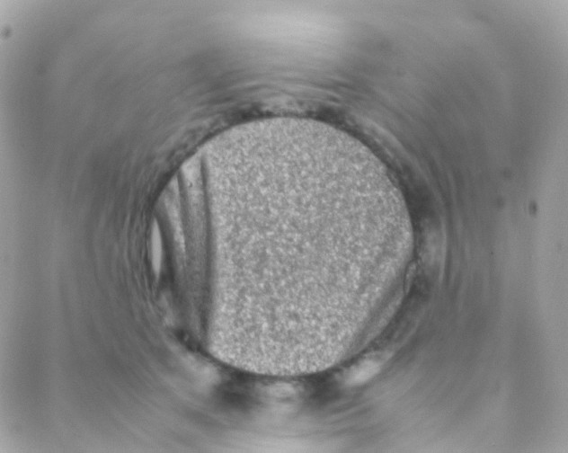 X0000088230513200706051351