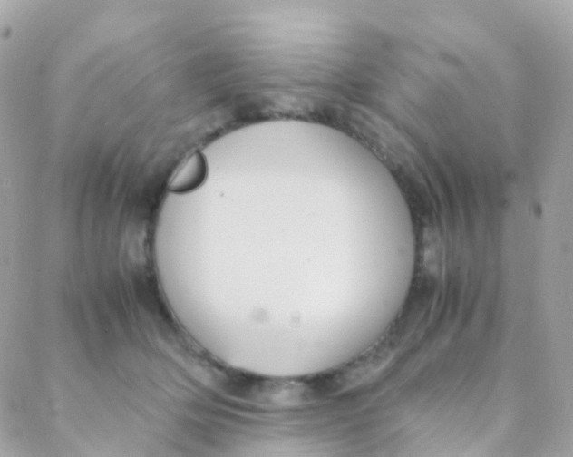 X0000088230514200706051351