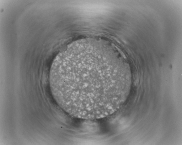 X0000088230515200706051351