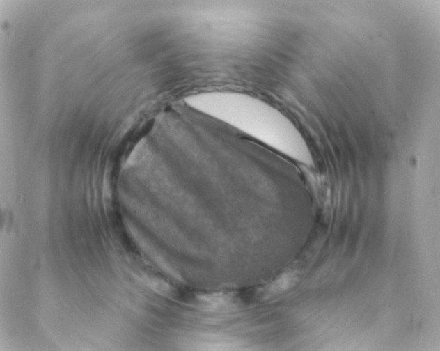 X0000088230516200706051351