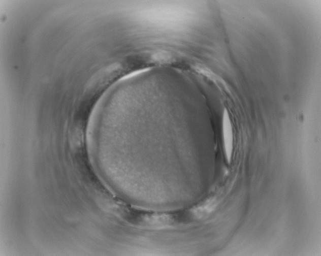 X0000088230517200706051351