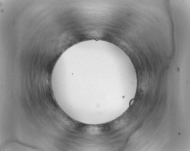 X0000088230518200706051351