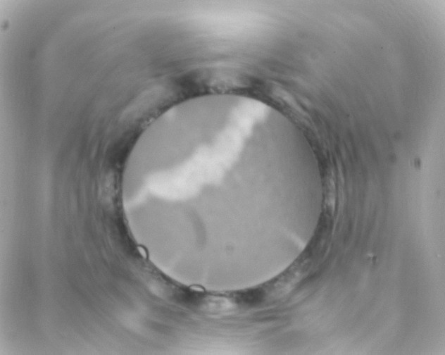 X0000088230519200706051351