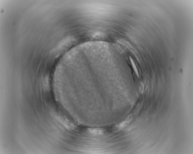 X0000088230520200706051351