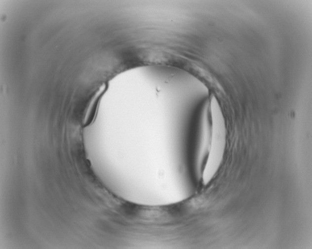 X0000088230521200706051351