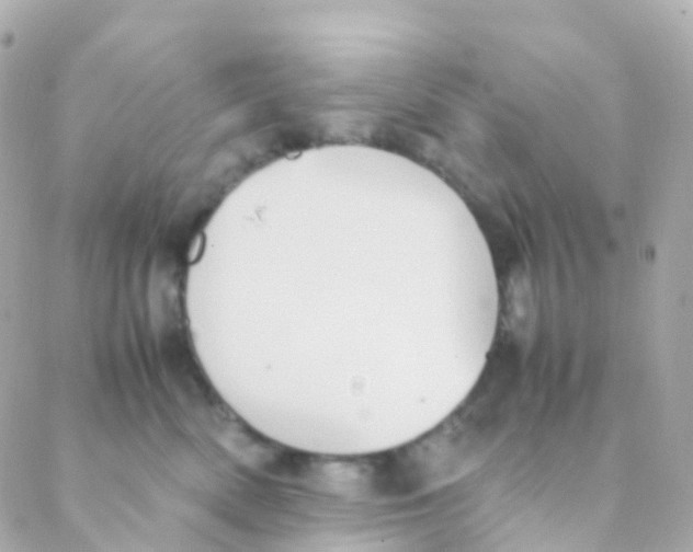 X0000088230522200706051351